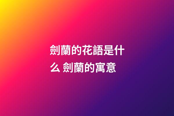劍蘭的花語是什么 劍蘭的寓意